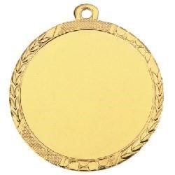 D113 medaille