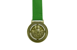 S313 medaille