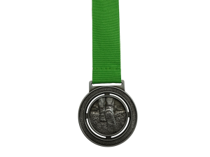 S313 medaille