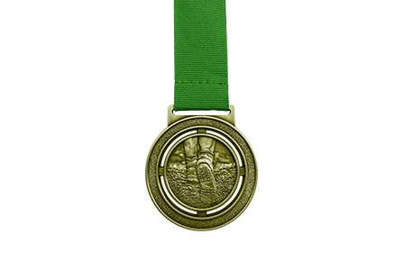 S313 medaille
