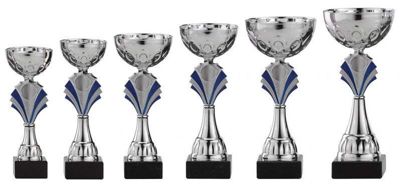 A1006 prijzenbeker